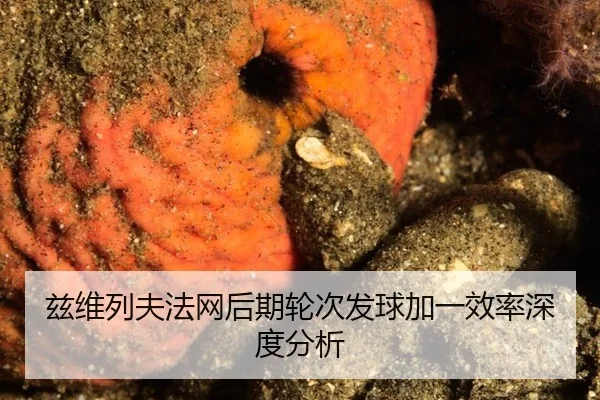 兹维列夫法网后期轮次发球加一效率深度分析